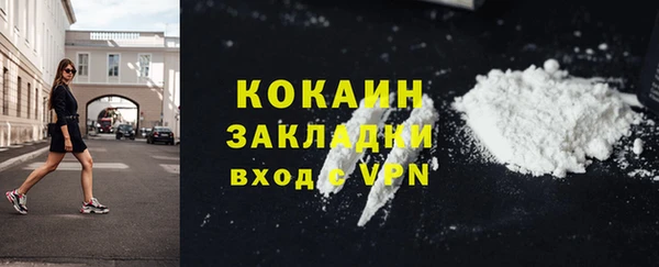 хмурый Дмитров