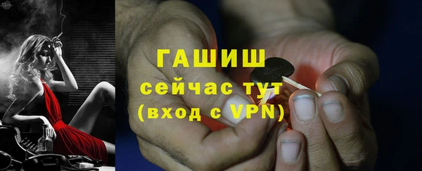 хмурый Дмитров