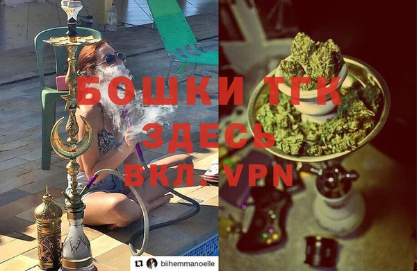 амф Дмитриев