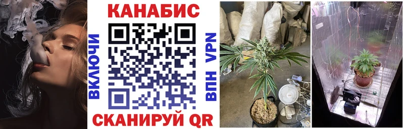 Канабис сатива  Купить где  Тарко-Сале 